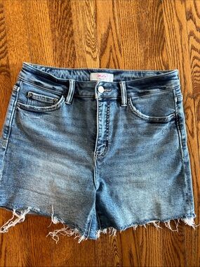 Moco boutique Light Blue Frayed Hem Denim Shorts lg